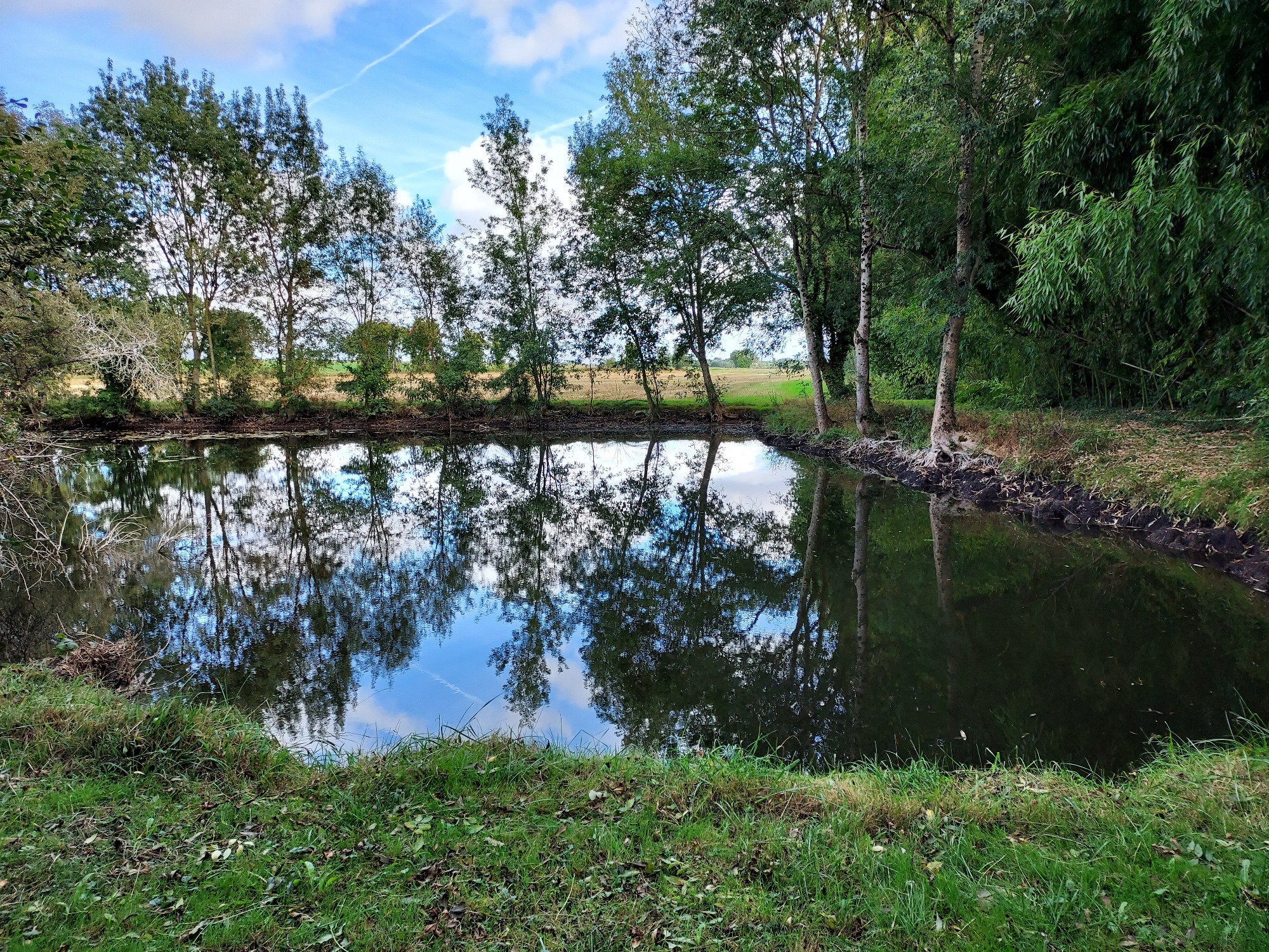 Etang le Bouchet - Lupsault