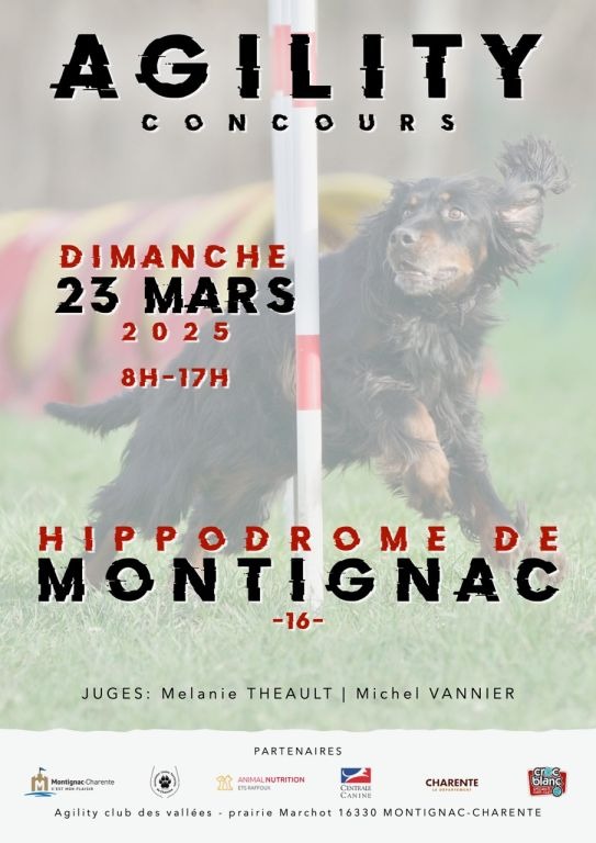 Concours Agility_La Boixe